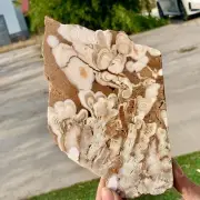 377GNatural Cherry blossom agate Crystal Rough slices stone specimens
