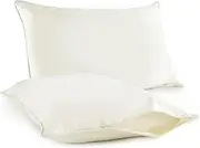 Organic Cotton Pillow Protector Standard Size - 100% Cotton GOTS Certified Pillow Case Protector with Zipper - Hypoallergenic Machine Washable Edge Piping & Breathable Cover - 2 Pack (Ivory, Standard)