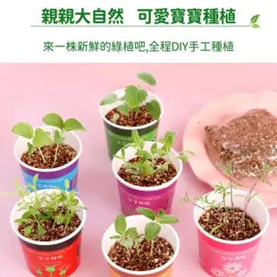 【百獅】種植小盆栽 兒童植物 兒童盆栽(DIY負離子綠植 小盆栽 桌面迷你兒童種植 室內植物 辦公室盆栽)