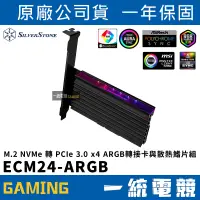 在飛比找蝦皮購物優惠-【一統電競】銀欣 ECM24-ARGB M.2 NVMe 轉