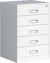5 Steel Filing Cabinet with Drawer Lock, Home Office Organization, Under Desk Storage Solution (39 * 44 * 65cm)
