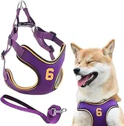 Winmany Adjustable Dog Harness No Pull Pet Puppy Vest Harness Lead Sets Reflective Number Printed Chest Strap for Small Medium Dog Cat (Purple, S)