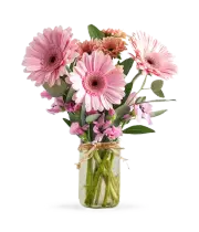 Shades of Pink in Mason Jar