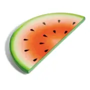 Martha Stewart Watermelon Trivet Eartenware NWT Summer BBQ cookout