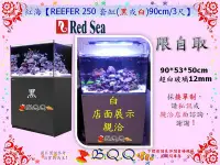 在飛比找Yahoo!奇摩拍賣優惠-[B.Q.Q小舖]以色列Red Sea-紅海【REEFER 