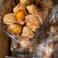 在飛比找蝦皮購物優惠-黃金燈籠果 燈籠果 黃金莓 盒裝新鮮出貨