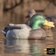 AVERY GREENHEAD GEAR GHG OS OVERSIZE MALLARD DECOYS WEIGHTED FIXED KEEL 6