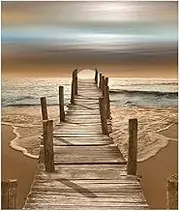 Karyees Beach Sunset Paint by Numbers Kits Beach Sunset DIY Oil Painting by Numbers Beach Sunset DIY Canvas Painting by Numbers Acrylic Painting Home Wall Decor Paint by Number Kits Seaside16Inch x 50cm