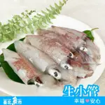 【臺北魚市】生小管300G*10包