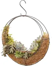 Moon Planter, Hanging Moon Planter Round Iron Ventilated Wire Basket for Succulent