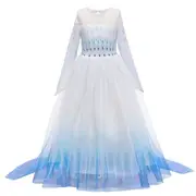 Costume Bay Girl's Blue Elsa Dress Frozen Costume Elsa Anna Queen Princess Girl Birthday Party Dress Tutu Book Week Halloween