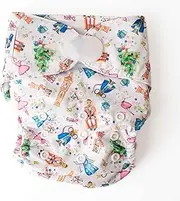 Monarch Ultimate Wipeable Cloth Nappy with Hook and Loop Closure, What's Crackin