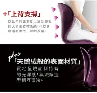 在飛比找Yahoo!奇摩拍賣優惠-日本知名品牌~ Style ELEGANT健康護脊椅墊 坐墊