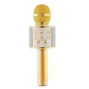 Karaoke Microphone for Kids Portable Wireless Bluetooth Singing Microphone with LED Lights-Gold