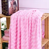 在飛比找PChome24h購物優惠-BELLE VIE 櫻花粉 四季保暖玫瑰絨毯(150x200