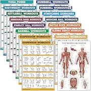 16 Pack - Exercise Poster Set: Dumbbell, Suspension, Kettlebell, Resistance Bands, Medicine Ball, Battle Rope, Stretching, Bodyweight, Barbell, Yoga, Exercise Ball, Muscular (LAMINATED, 18" x 24")