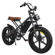 20" Electric Bicycle 750W 48V Motorcycle Fat Tire Mountain Bike Offroad E-bike