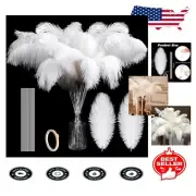 Bulk 150 Pcs Ostrich Feathers with Wires & Tape - Perfect for Weddings & Crafts