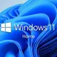 Windows 11 家用隨機版 64位元中文版{含安裝}
