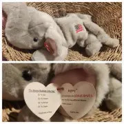 TY Beanie Buddy Righty the Elephant