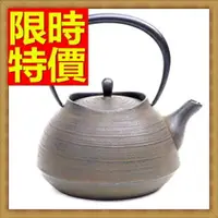 在飛比找樂天市場購物網優惠-日本鐵壺水壺茶壺-泡茶必備南部鐵器鑄鐵老鐵壺64aj16【獨