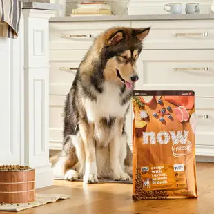 【買就送利樂包】【SofyDOG】Now! 鮮肉無穀天然糧 成犬配方3.5磅兩件優惠組 狗飼料 犬糧