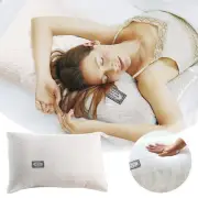 Luxury Hotel Grade Pillow: Soft Support With Feather Standard Silk Pillowcase