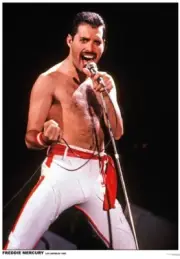 Freddie Mercury - Los Angeles 1982 Maxi Poster