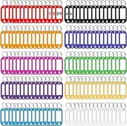 Pack of 100 Key Fobs, Plastic Key Rings with Labels, Key Tags Can Be Written On with Key Rings for Keys, Home, Offices, Pet ID, Suitcase, Luggage Tags (10 Colours)