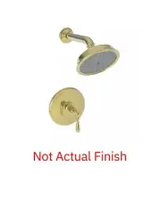 Newport Brass 3-2554BP/03N BP Shower Trim Set Polished Brass Uncoated