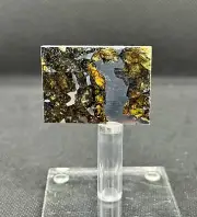 SEYMCHAN METEORITE PALLASITE PARTIAL SLICE 12,5 g