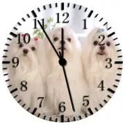 Cute Maltese Frameless Borderless Wall Clock Nice For Gifts or Decor W161
