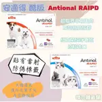 🟣安適得🟣酷版 ANTINOL RAPID 60顆 關節保養.保健.心臟保健.神經.腸胃.皮膚