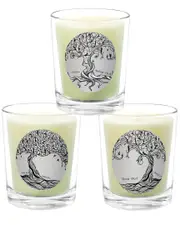 Qualitas Candles 3pc Candle Set - Amber Oud, Oud, & Fleur Oud NoSize White