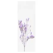 Yoga Mat Original Art Photo "Magnolia Scent Tree" - Limited Edition of 137
