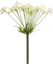 Melrose Set of 2 Queen Anne's Lace Artificial Stems 29"