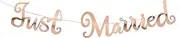 Party Decorations Gold Silver Happy Birthday Banner Bunting Just Married Hanging Garland Wedding Party Decor Banner Home Party Decoration (Color : P04)
