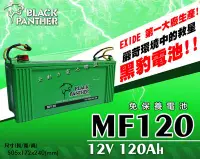 在飛比找Yahoo!奇摩拍賣優惠-全動力-黑豹 Black Panther MF120 115