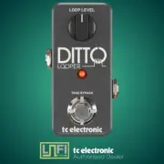 TC Electronic Ditto Looper Electric Guitar Pedal - Brand New