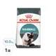 ROYAL CANIN 法國皇家 FCN 加強化毛成貓乾飼料 IH34