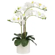 CG Hunter Faux Orchid With Ribbed Pot White