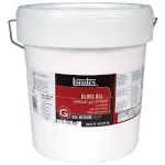 【板橋酷酷姐美術】 LIQUITEX 麗可得 GLOSS GEL【增光凝膠劑】1GALLON1加侖 亮光凝膠【無酸樹脂】