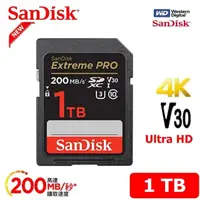 在飛比找momo購物網優惠-【SanDisk 晟碟】[全新版 再升級] 1TB Extr