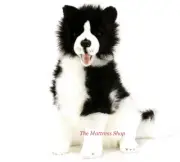 ~❤️BOCCHETTA Border Collie TOMMY 40cm Black & White plush soft toy Dog BNWT❤️