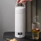 Portable Electric Kettle Small 450ml Temperature Control 316 Stainless Steel FTD