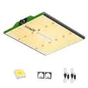 P1000 LED Grow Light for Seed Starting Vegetables Bloom, Dimmable 11.8"x11"