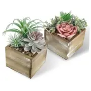 Set of 2 Succulents Plants Artificial Fake Plants in Wood Pots Green-2 Pack