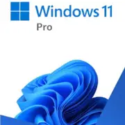 Microsoft Windows 11 Professional Retail 64-bit USB Flash Drive