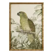 [OneWorld Collection] Jungle Parrot Wall Art B