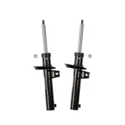 2x Front Roadsafe STR Sealed Strut Shock Absorbers for Audi A3 8P Q3 8U 03-19